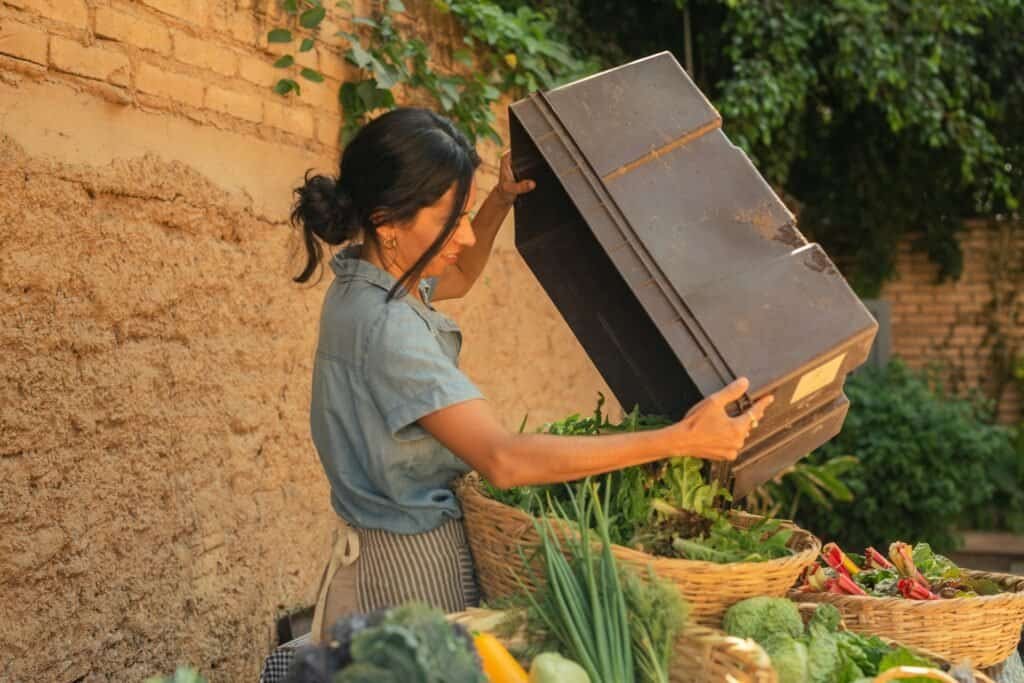 best compost for vegetable garden
