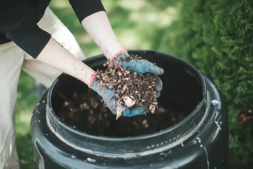 How to Layer a Compost Bin – A Detailed Step-by-Step Approach 3 How to Layer a Compost Bin – A Detailed Step-by-Step Approach