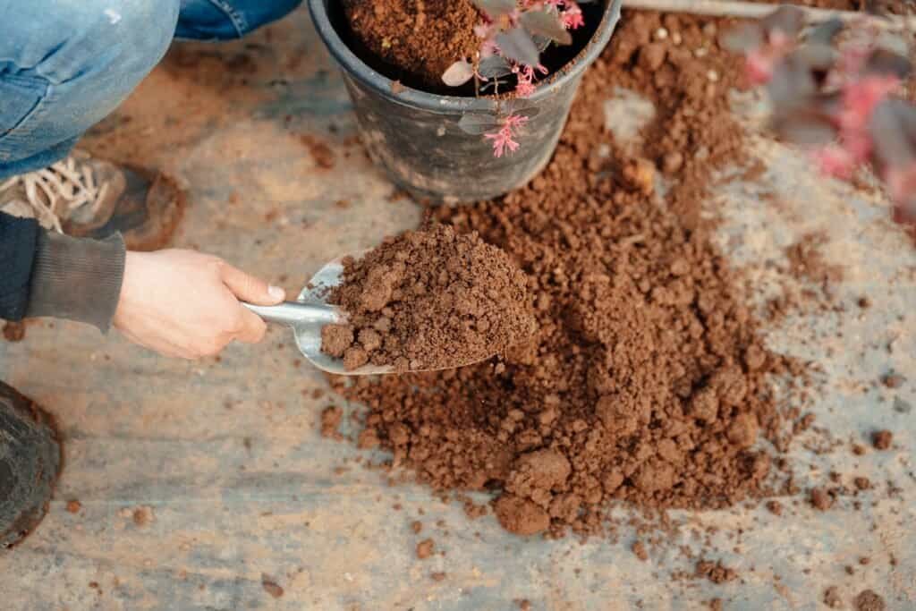 Does Compost Smell? Unveiling the Truth About Compost Odors 3 Does Compost Smell
