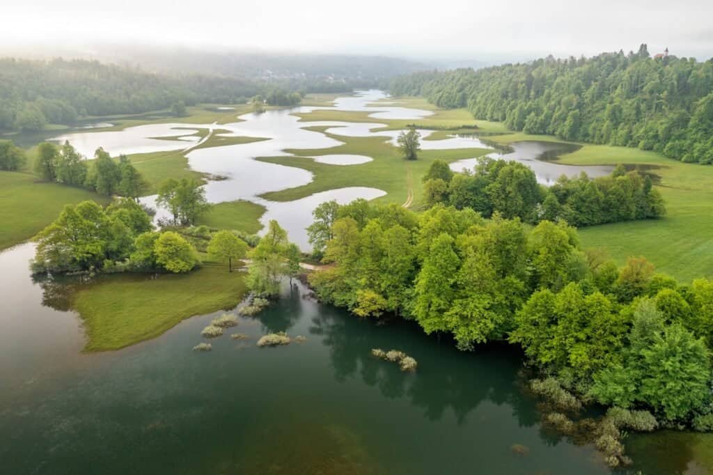 Is it Illegal to Collect Rainwater in Virginia? 3 is it illegal to collect rainwater in virginia