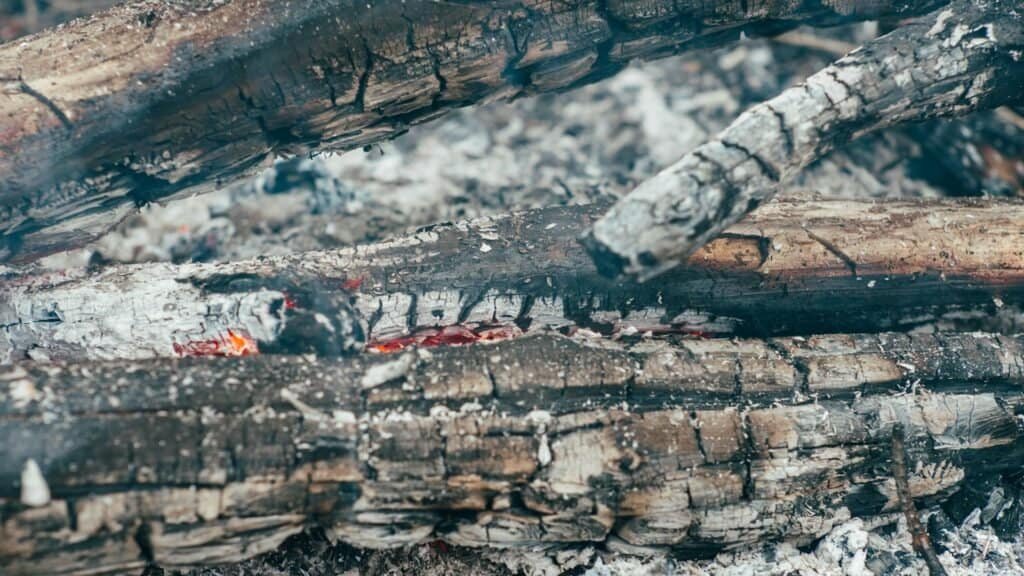Is Ash Good for Compost? Unveiling the Benefits and Drawbacks 2 is ash good for compost