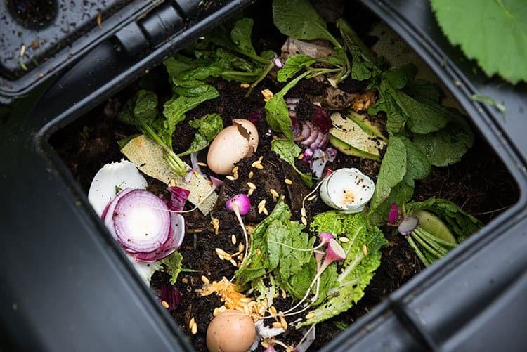 How to Compost in an Apartment - Green Living in Small Spaces 3 How to Compost in an Apartment