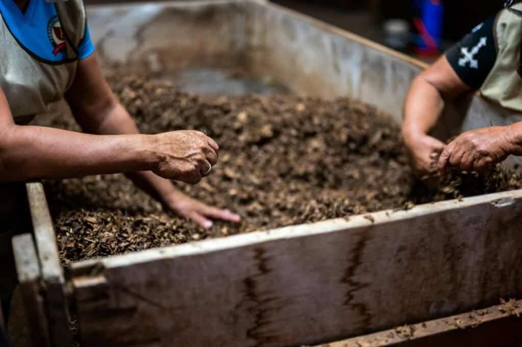 How to Layer a Compost Bin – A Detailed Step-by-Step Approach 2 How to Layer a Compost Bin