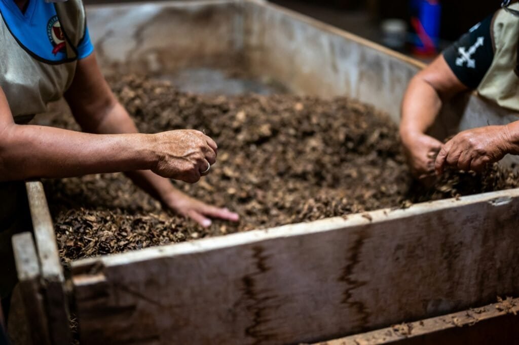 Can You Compost Rice? - Unveiling the Right Techniques and Precautions 2 can you compost rice