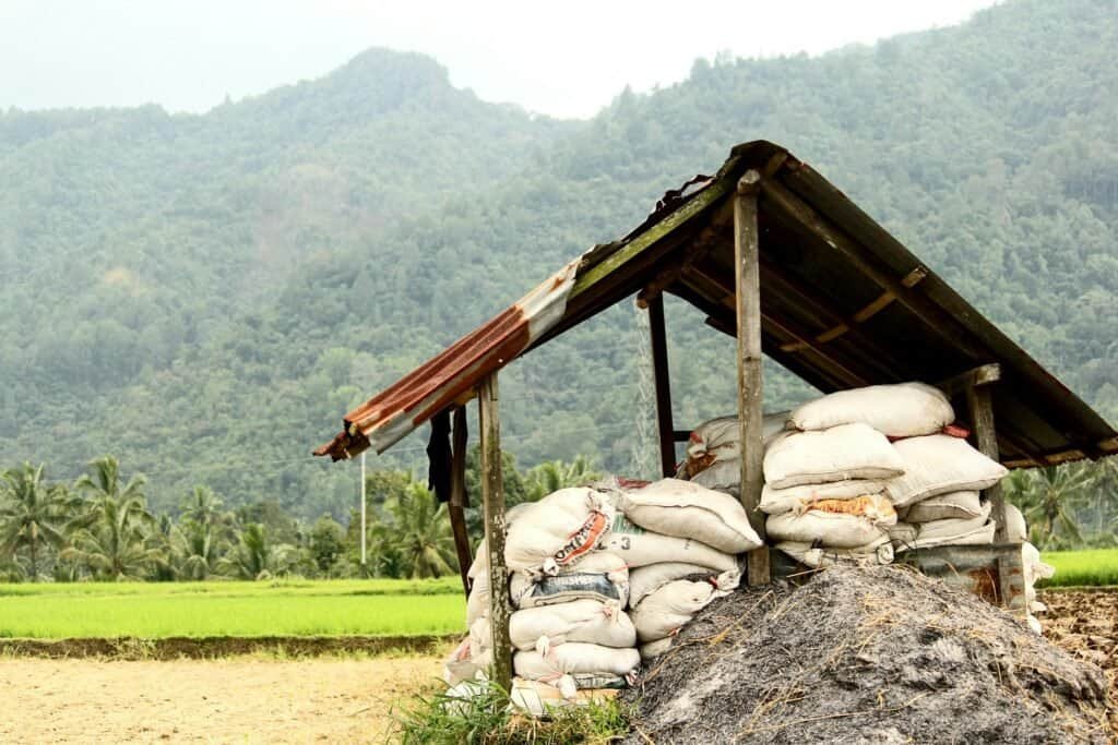 can you compost rice