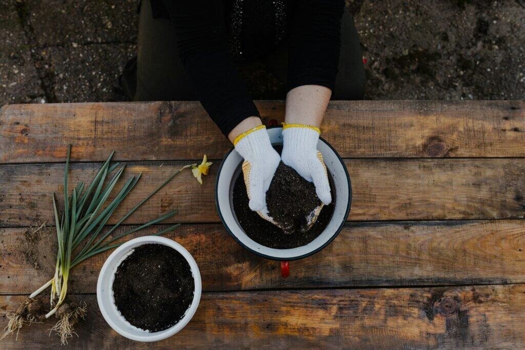How to Make Compost Tea – A Comprehensive Guide 2 How to Make Compost Tea