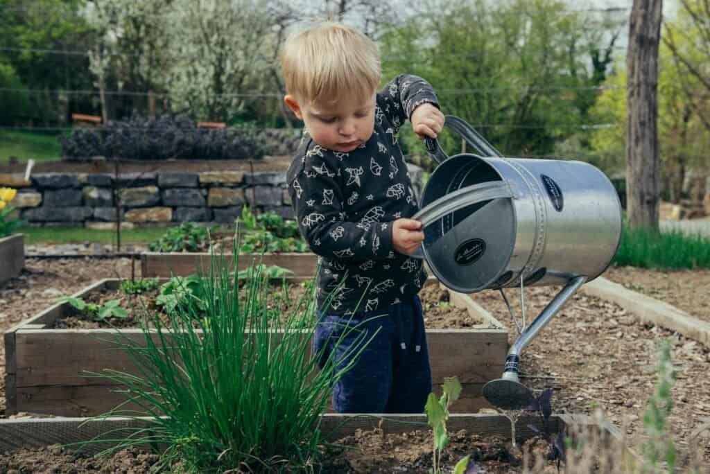 How to Compost Leaves: A Step-by-Step Guide for Gardeners 1 How to Compost Leaves