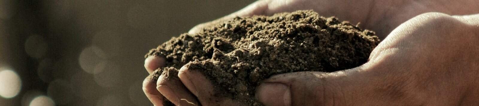 How to Compost Grass Clippings