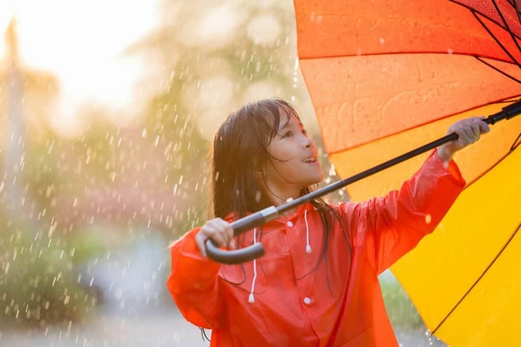 Is It Illegal to Collect Rainwater in Texas - Understanding State Regulations 1 Is It Illegal to Collect Rainwater in Texas