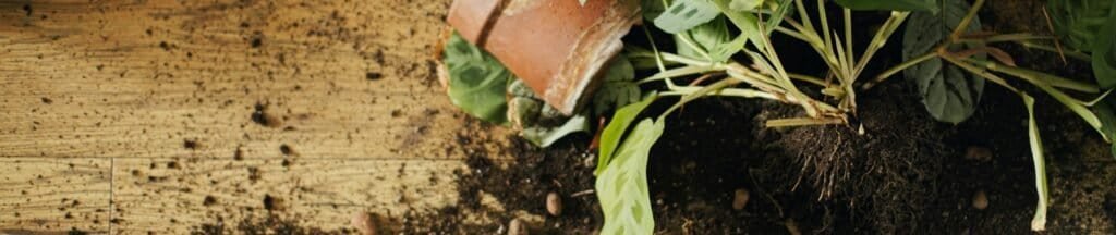 Does Compost Smell
