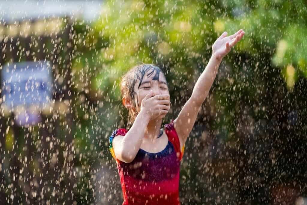 Is It Illegal to Collect Rainwater in Texas - Understanding State Regulations 2 Is It Illegal to Collect Rainwater in Texas
