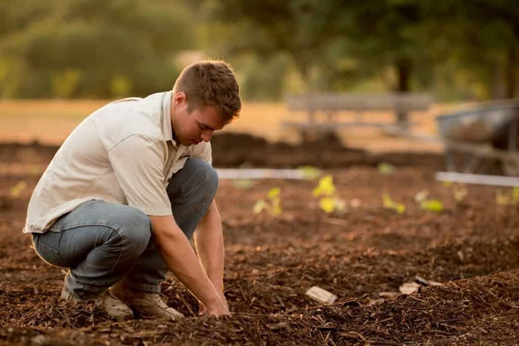 Can You Compost Rice? - Unveiling the Right Techniques and Precautions 1 can you compost rice