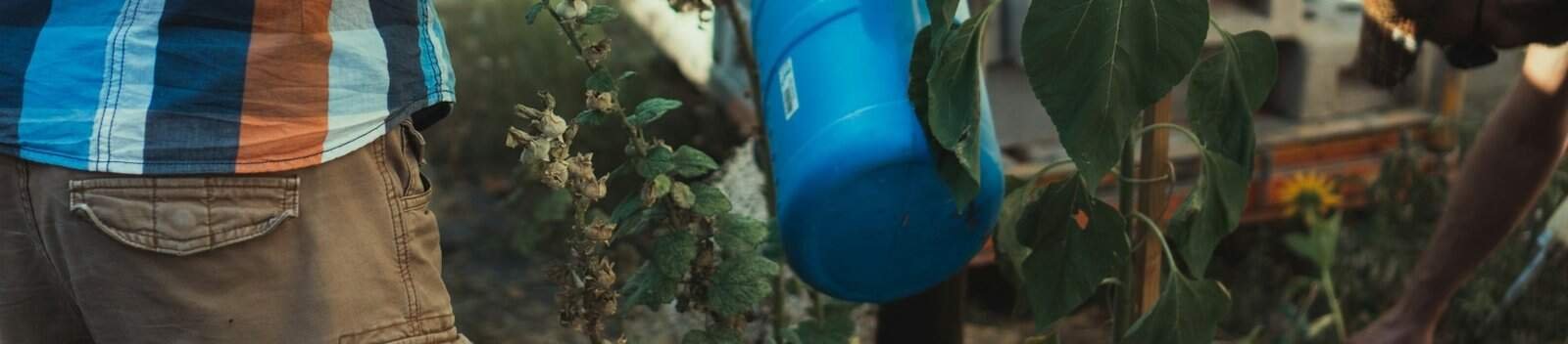 How to Compost in an Apartment