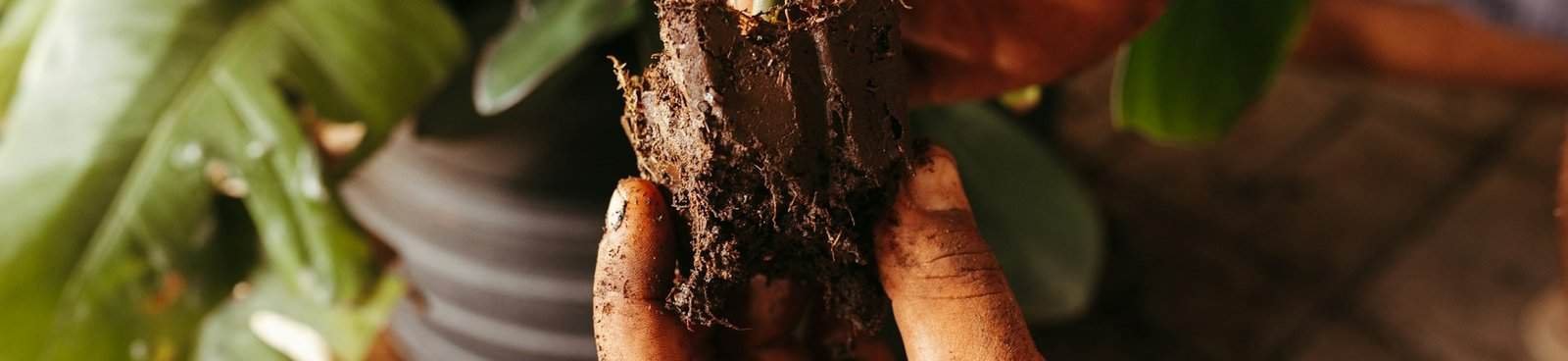 How to Layer a Compost Bin