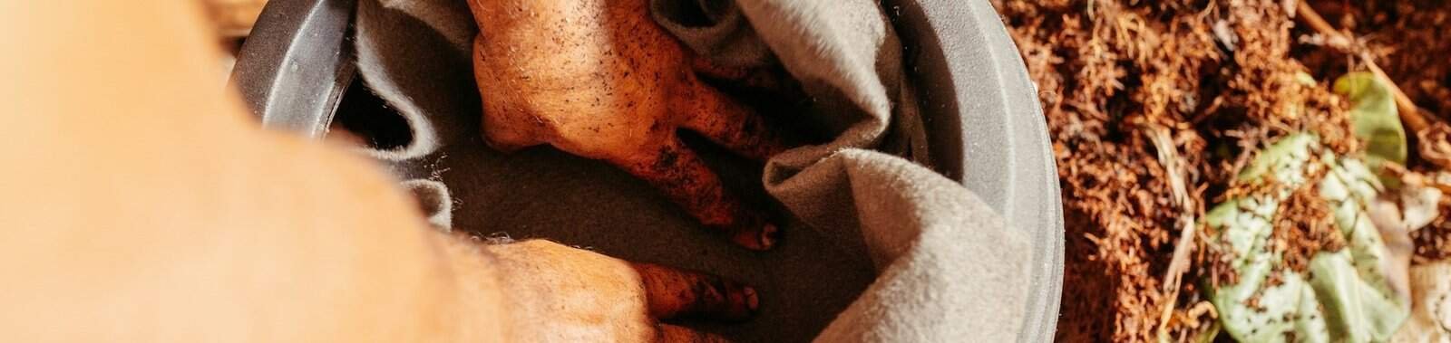 How to Make Compost Tea