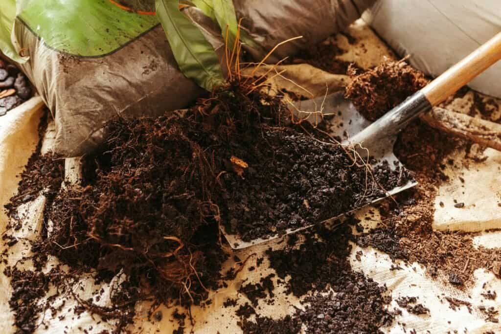 can you compost weeds