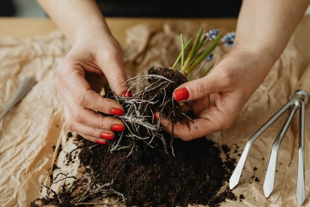 How to Compost in an Apartment - Green Living in Small Spaces 2 karolina grabowska 4l3IZn6WPHs unsplash