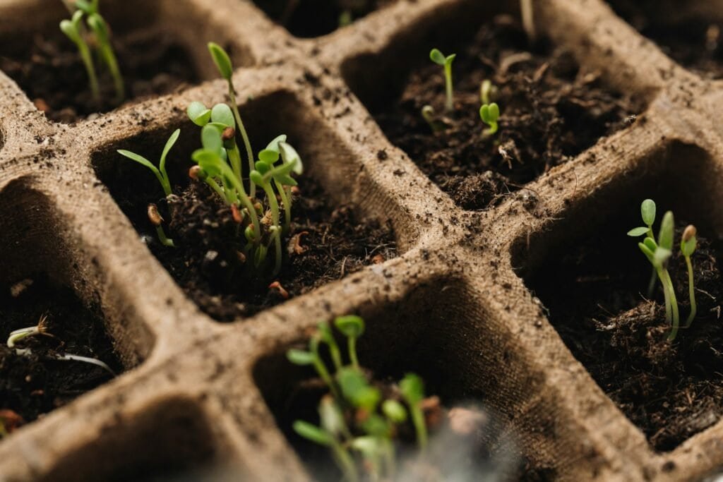 How to Compost in an Apartment - Green Living in Small Spaces 4 How to Compost in an Apartment