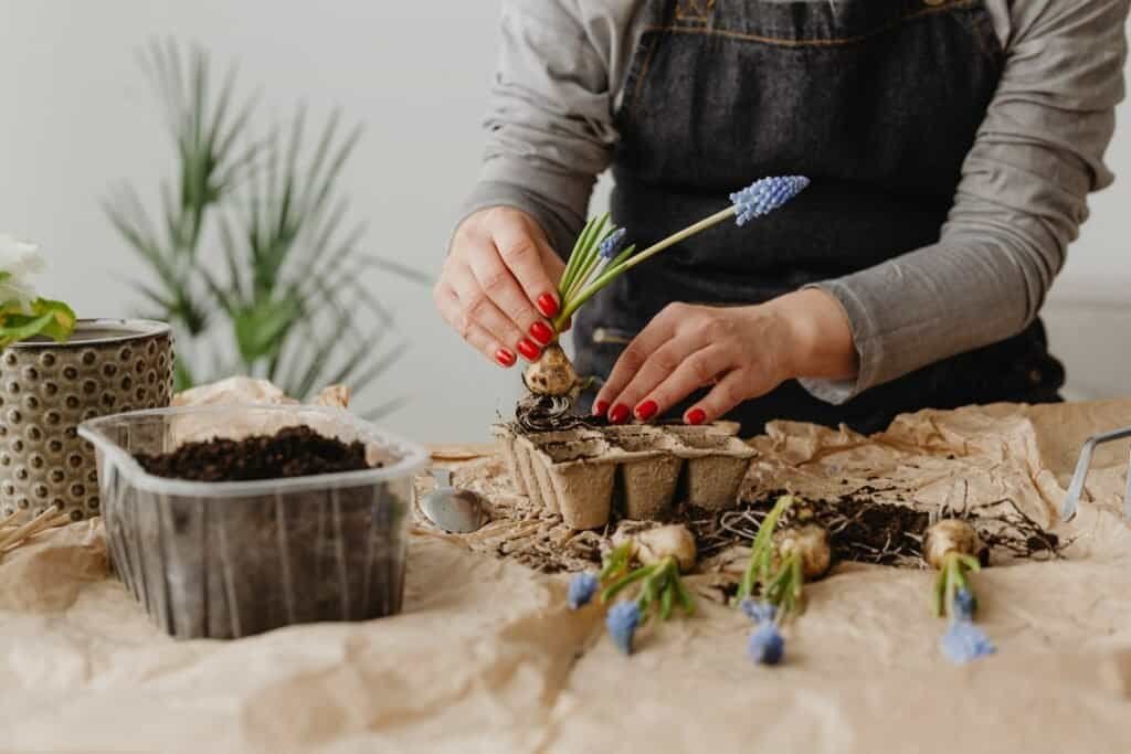 How to Compost in an Apartment - Green Living in Small Spaces 1 How to Compost in an Apartment