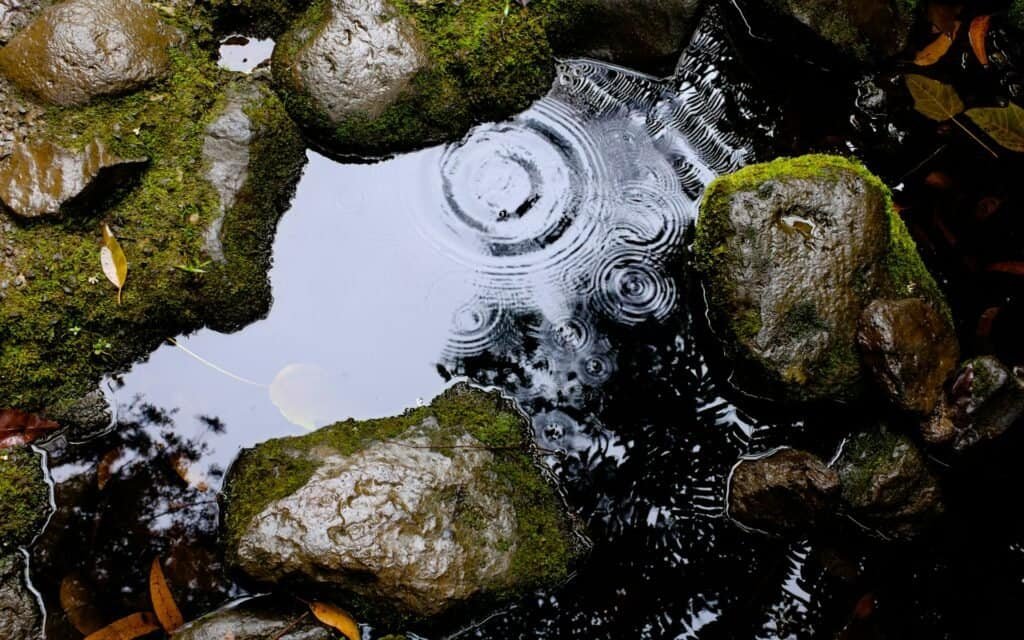 Is It Illegal to Collect Rainwater in Texas - Understanding State Regulations 3 Is It Illegal to Collect Rainwater in Texas