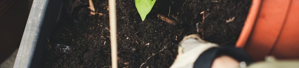 Compost vs Topsoil
