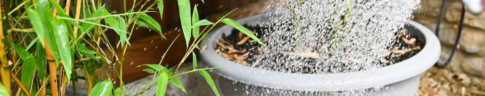 Is it Illegal to Collect Rainwater in Oregon