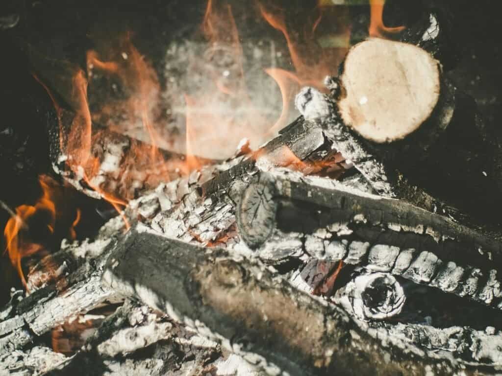 Is Ash Good for Compost? Unveiling the Benefits and Drawbacks 1 is ash good for compost