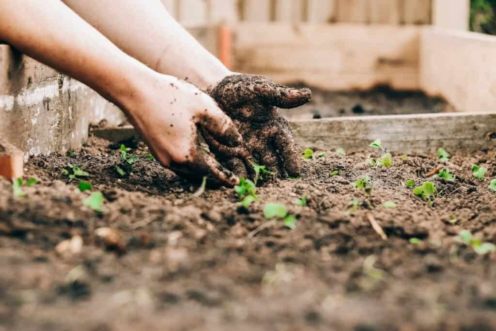 How to Layer a Compost Bin – A Detailed Step-by-Step Approach 1 How to Layer a Compost Bin