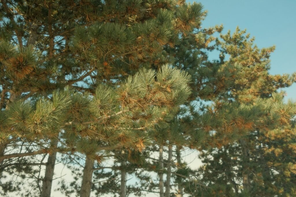 michigan native plants