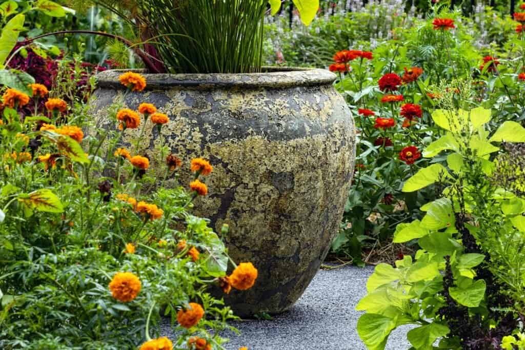 front yard native plant garden design