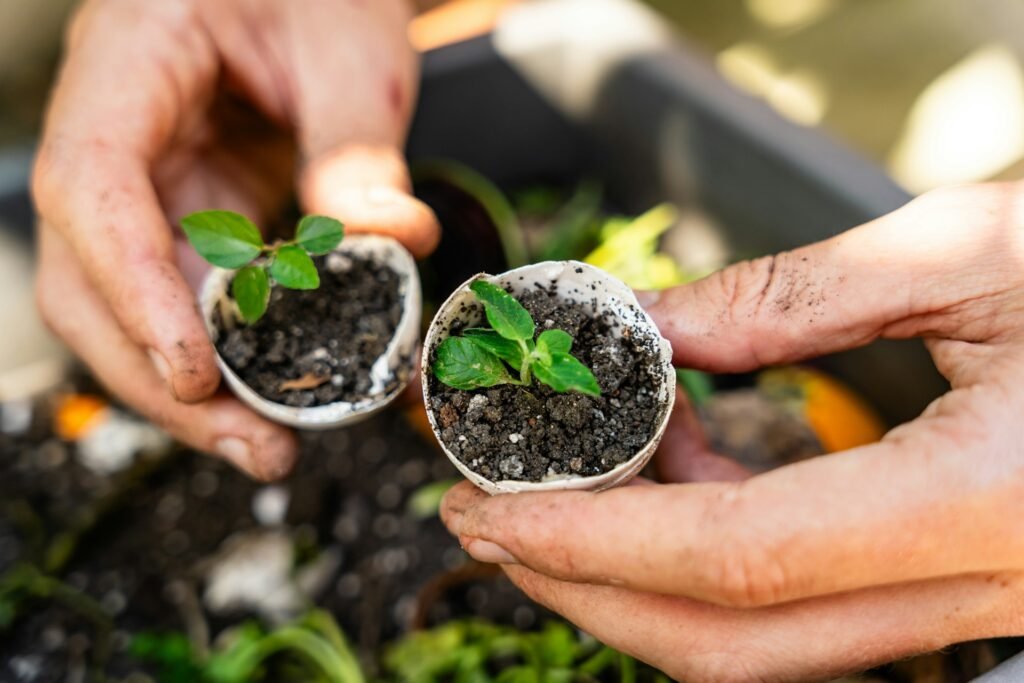 how long does compost take