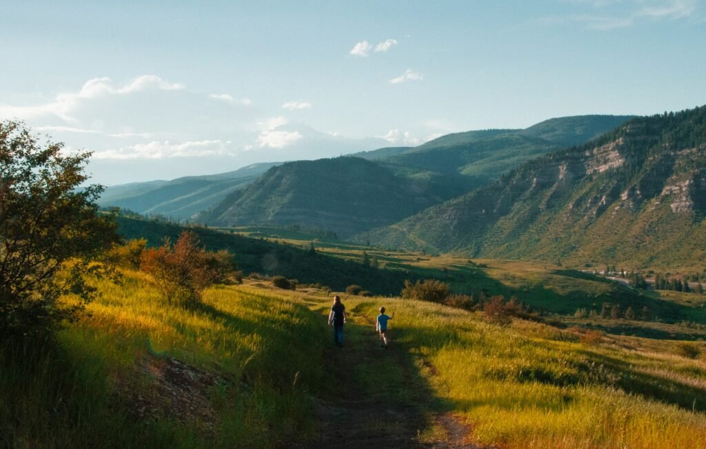 colorado native plants