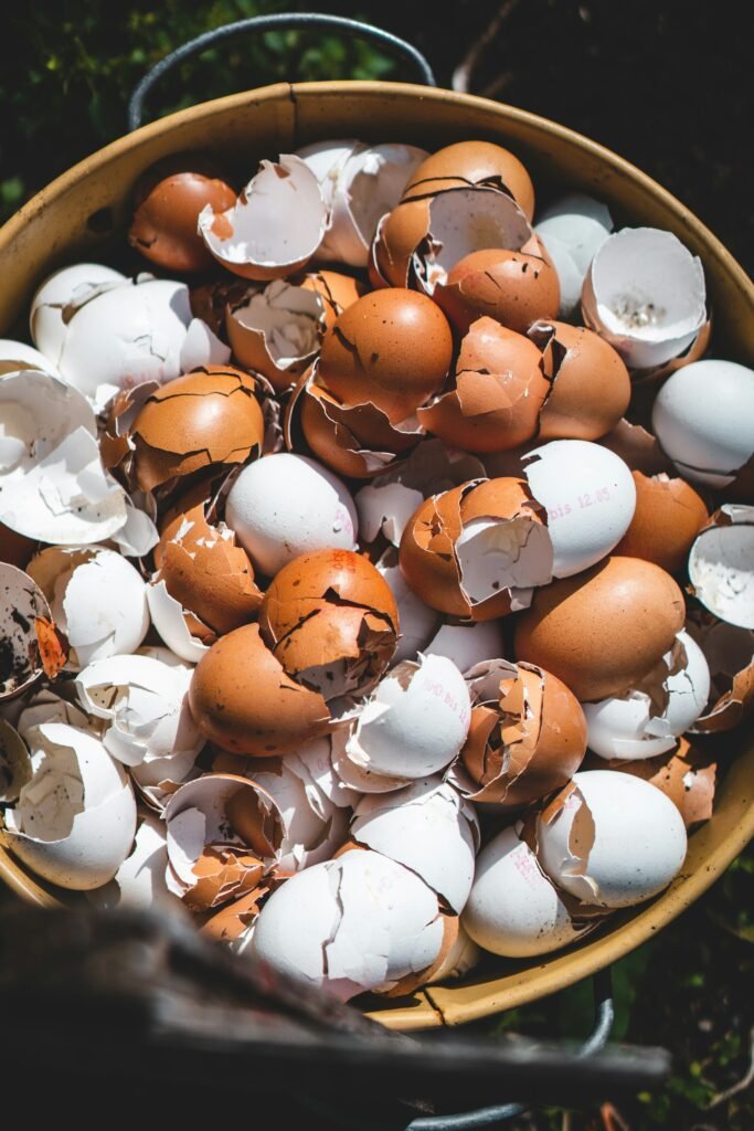 can you compost eggshells