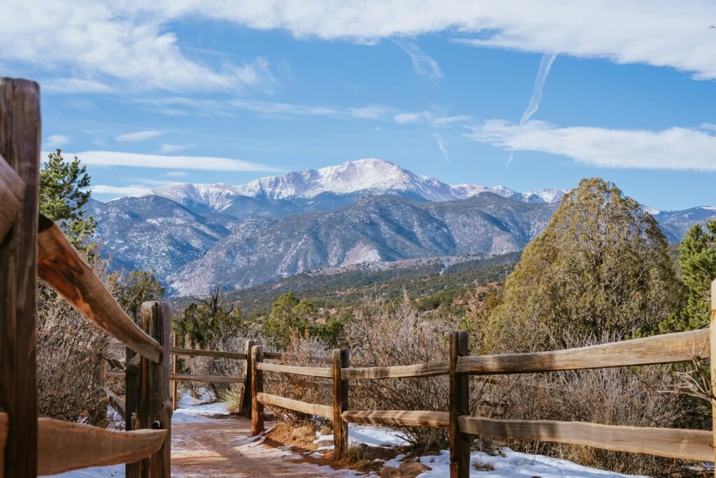 colorado native plants