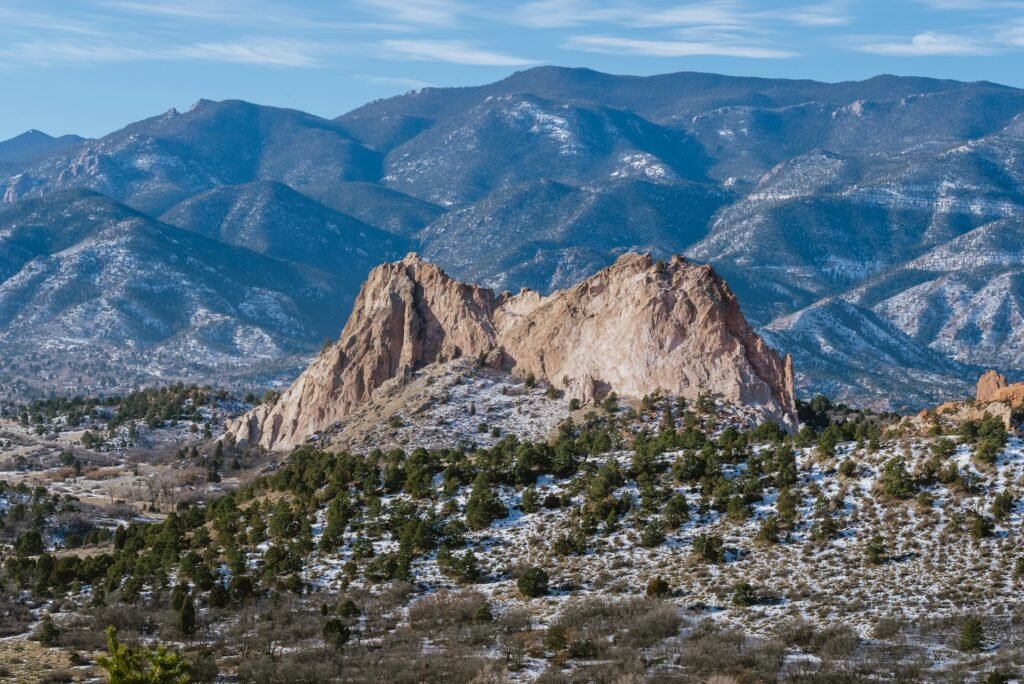 colorado native plants