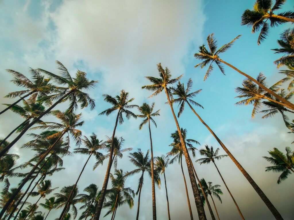 native hawaiian plants