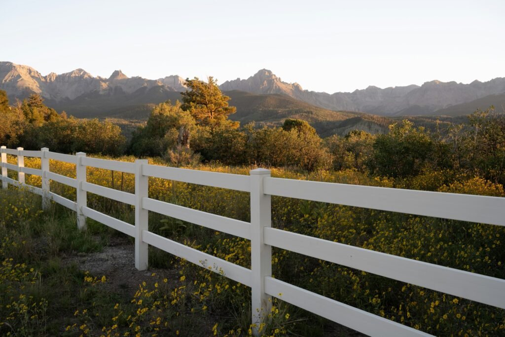 colorado native plants