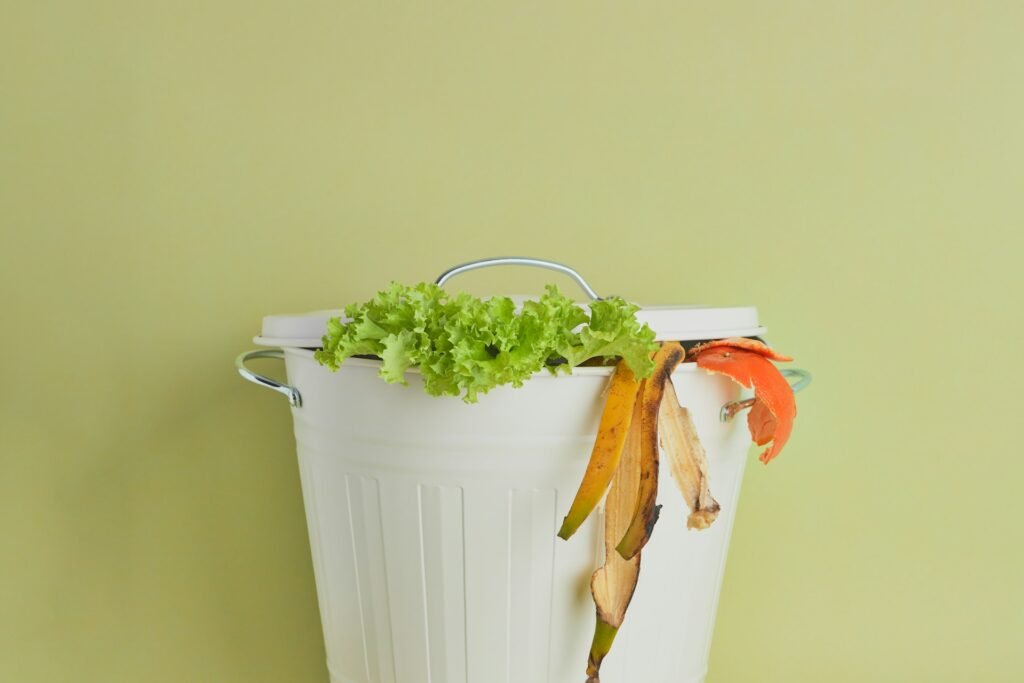 best kitchen compost bin