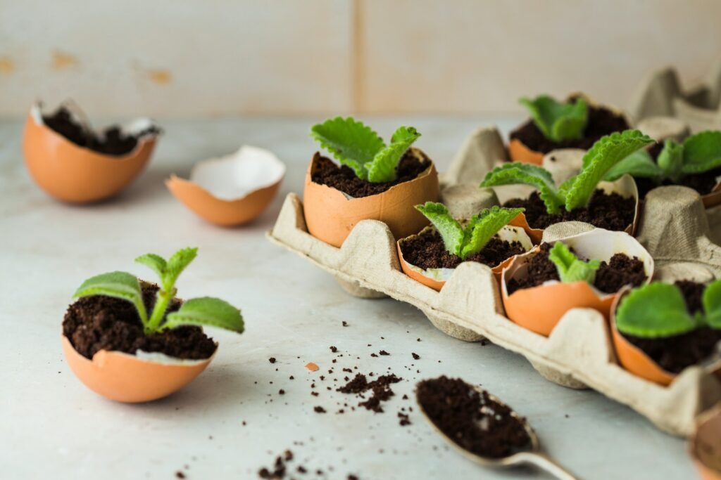 can you compost eggshells