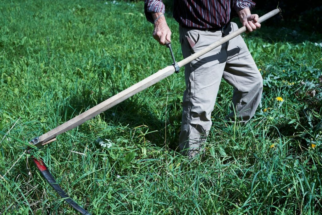 is compost good for grass