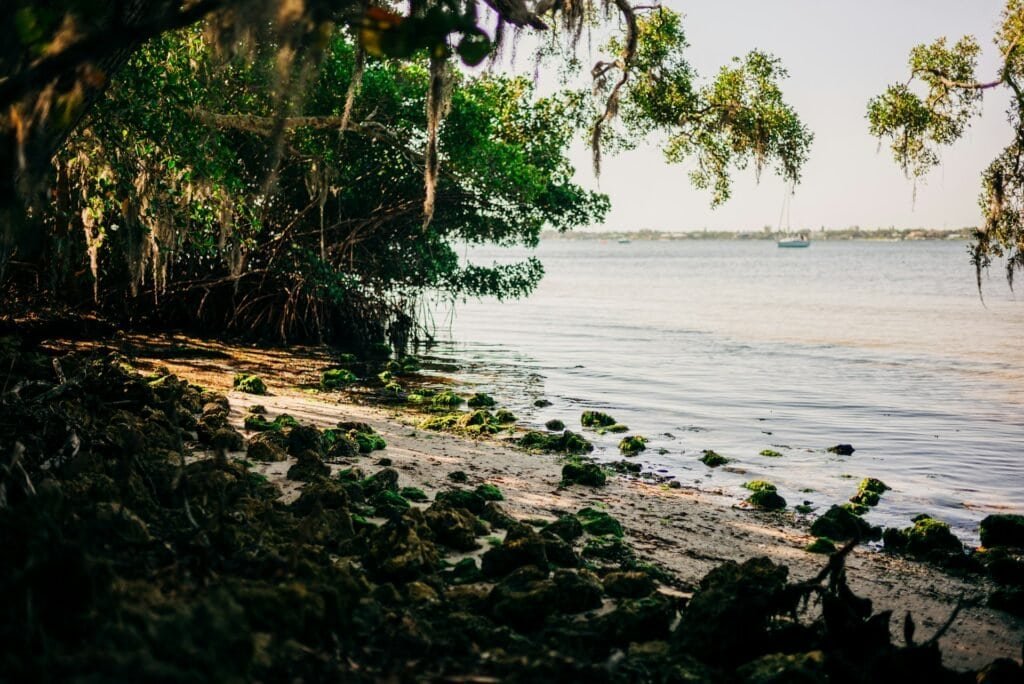 is it illegal to collect rainwater in florida